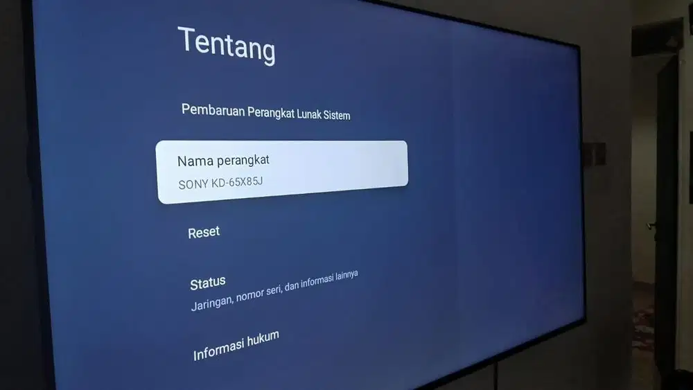 SONY 65 Inch 65 inci