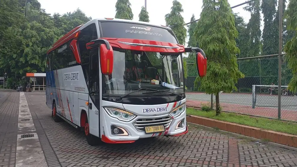 Bus Medium JB3 2019