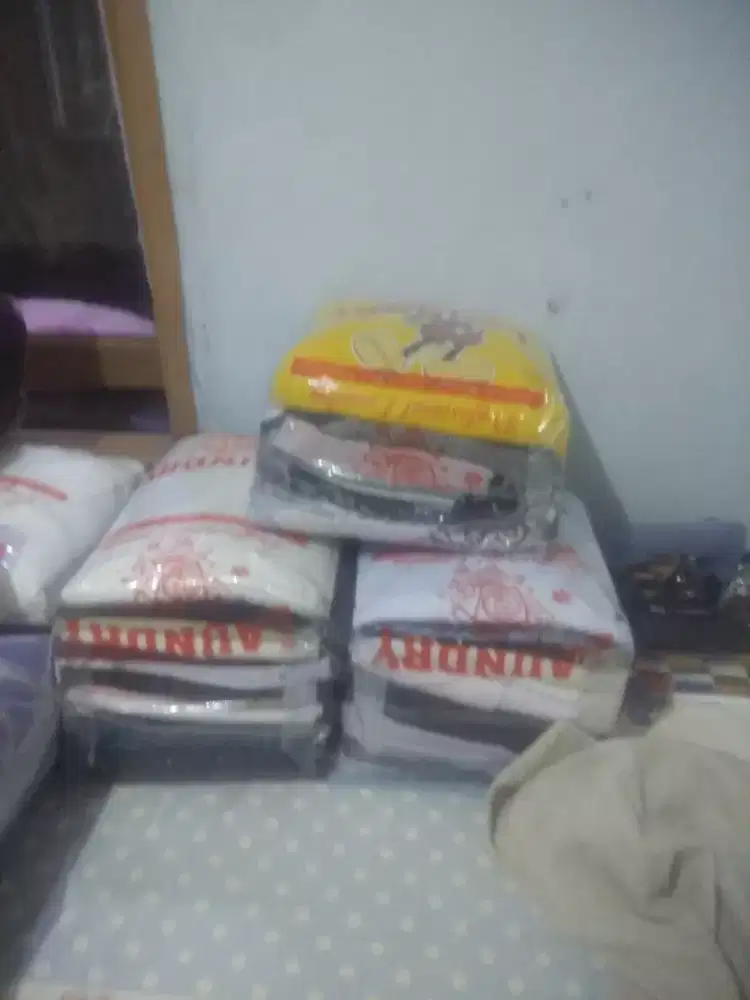 Jasa setrika uap dan laundry  pamulang