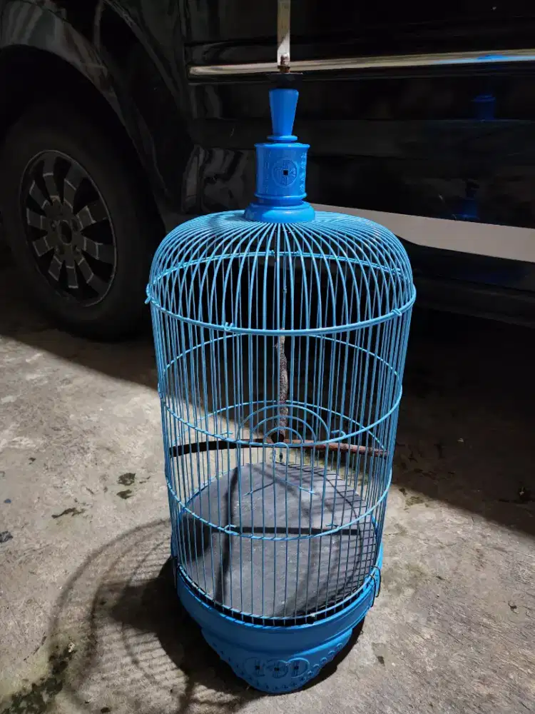 Sangkar helopet tanggung bagus