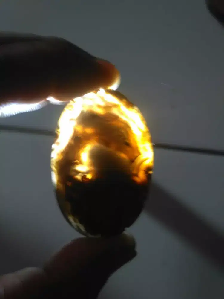 Batu raflesia bergambar kepala naga