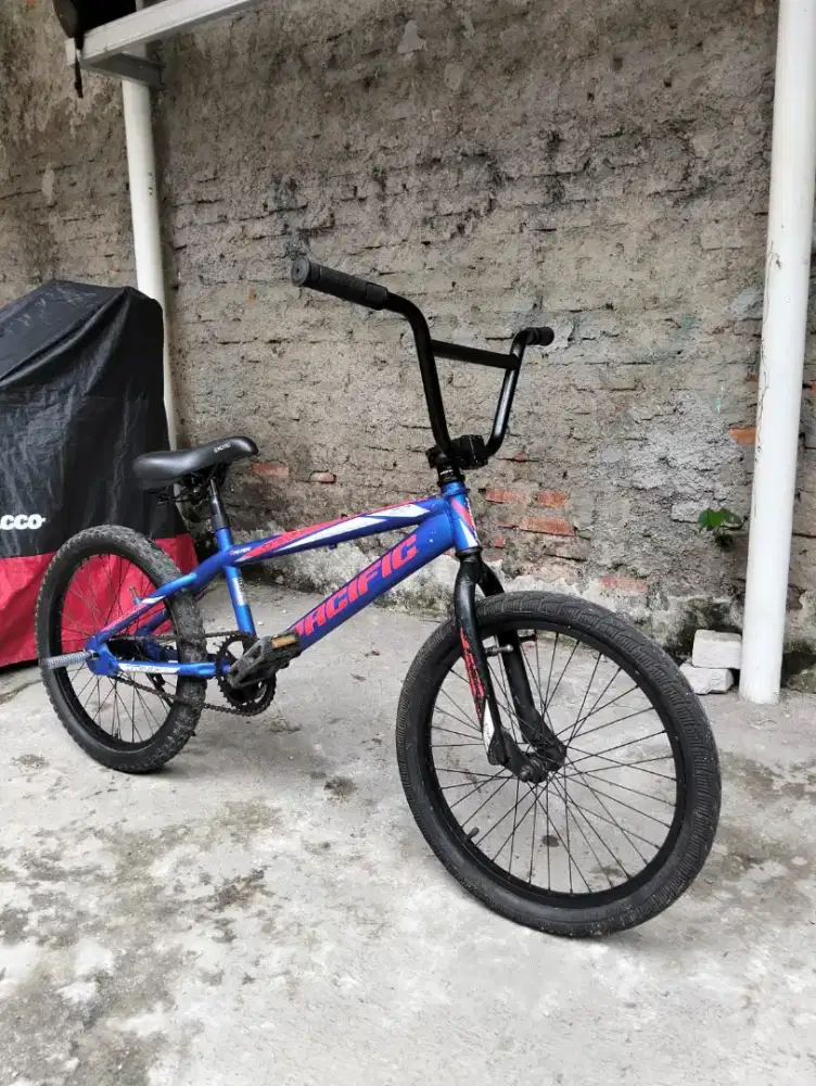 BMX PACIFIC 20 TORPEDO