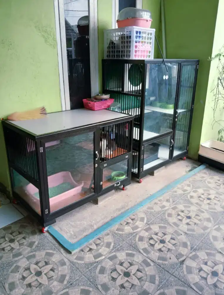 Jual kandang + kucing Persia 3 ekor