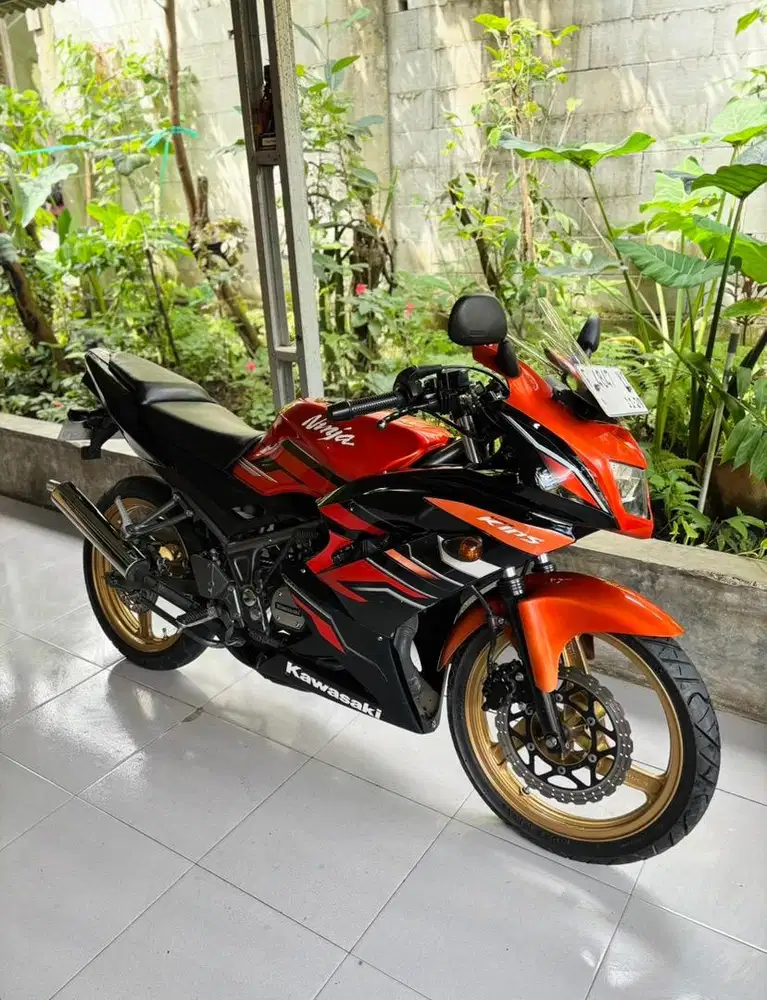 Ninja RR Last Edition 2015 Orange