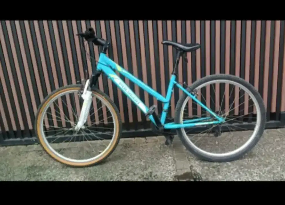 Sepeda Polygon Tosca