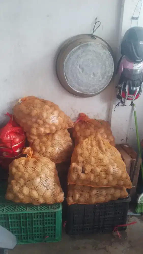 DIJUAL KENTANG DIENG