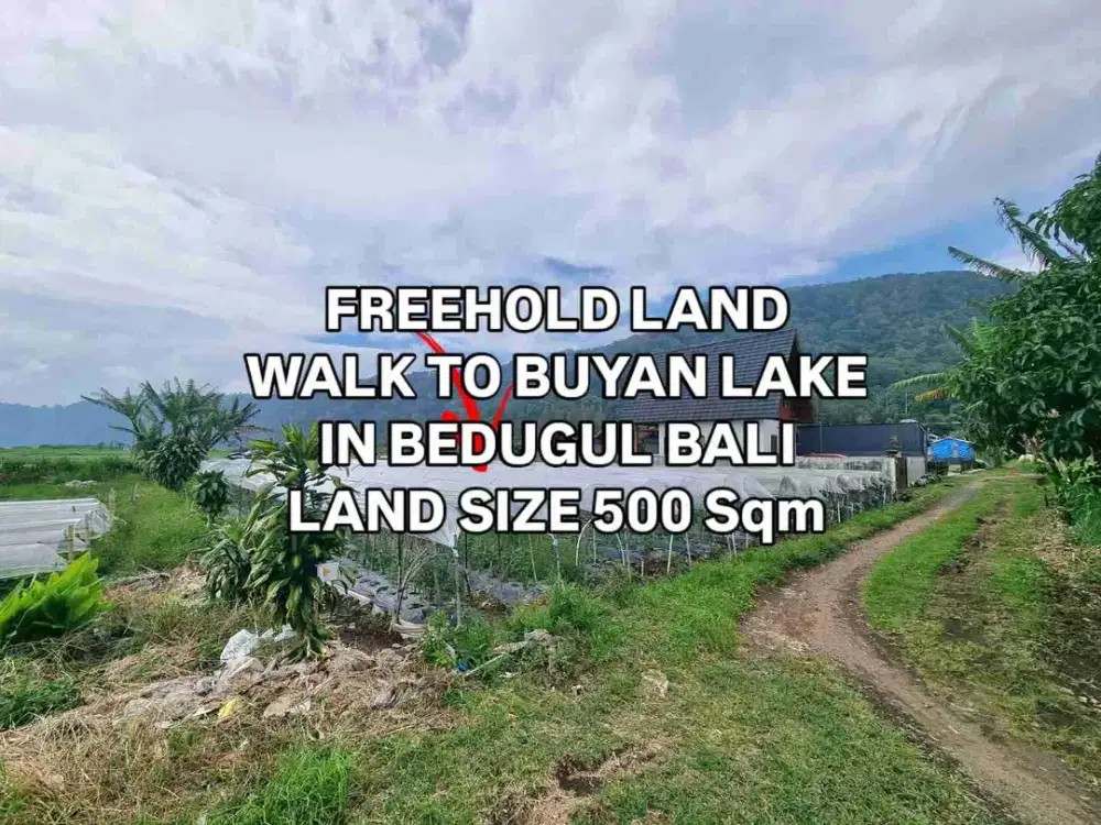 Tanah Jalan Kaki ke Danau Buyan Bedugul Bali