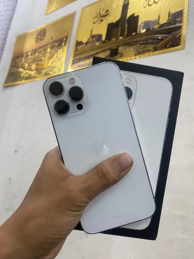 13 pm 256 ibox silver