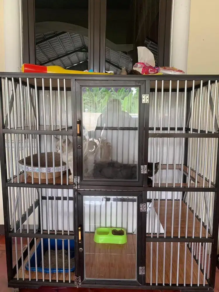 Kandang kucing bekas