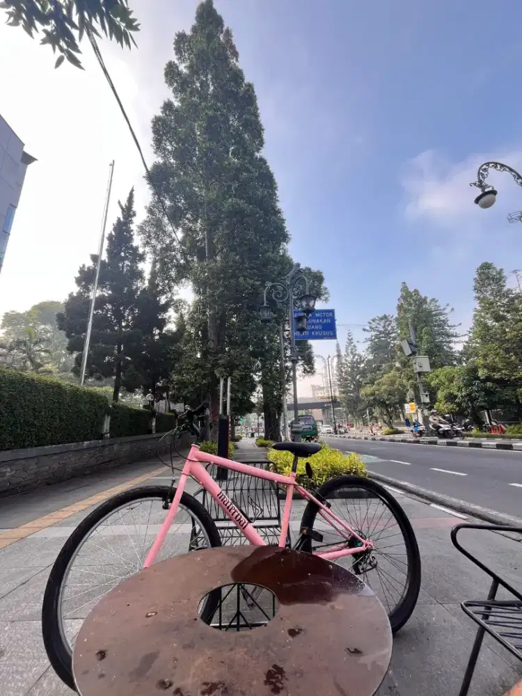 DI JUAL SEPEDA SEGITU ADA NYAA