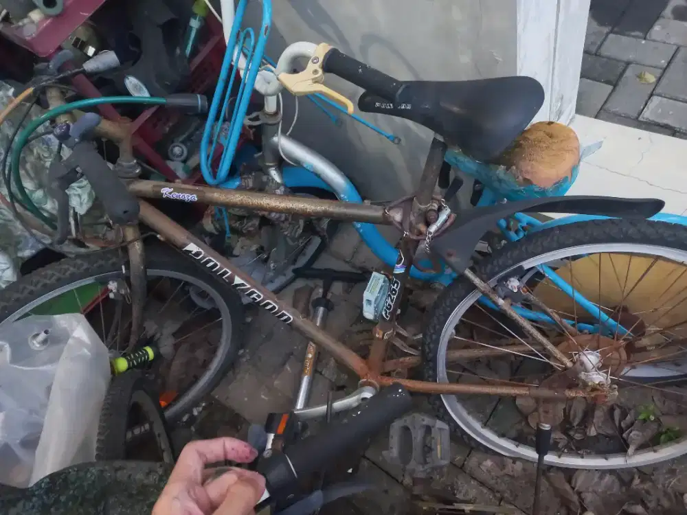 Sepeda Gunung Polygon second