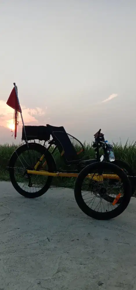 Sepeda roda tiga sandaran (Recumbent Trikes)