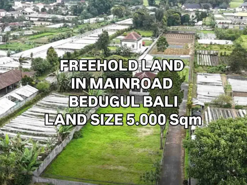Tanah di Jalan Utama 500m dari Bali Handara Bedugul Bali