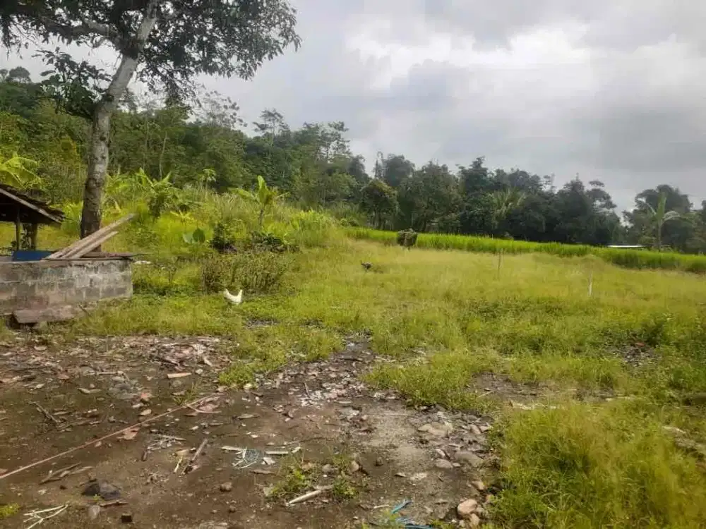 Dijual Tanah berkolasi Strategis Di pinggir jalan Kabupaten Cigombong