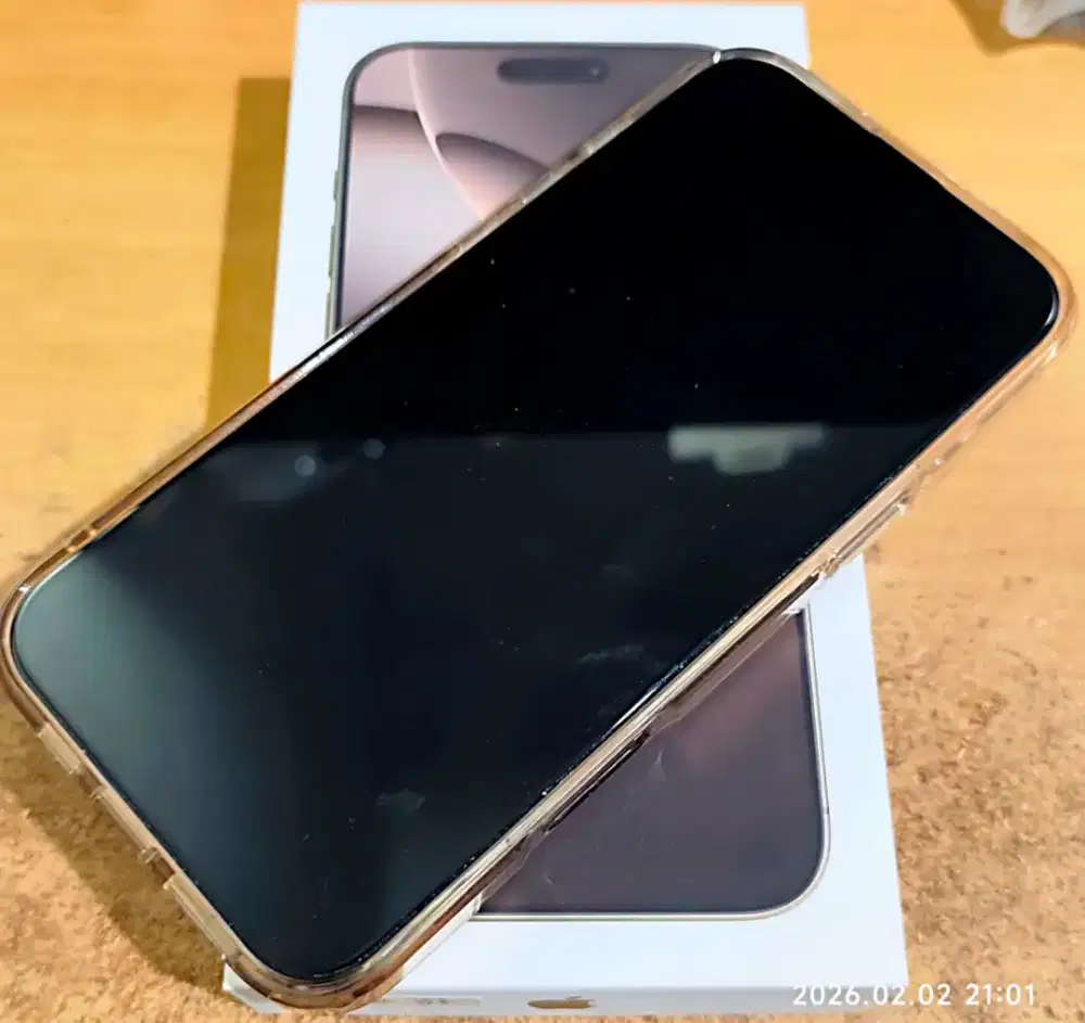 16 pro max 8/256 warna dessert