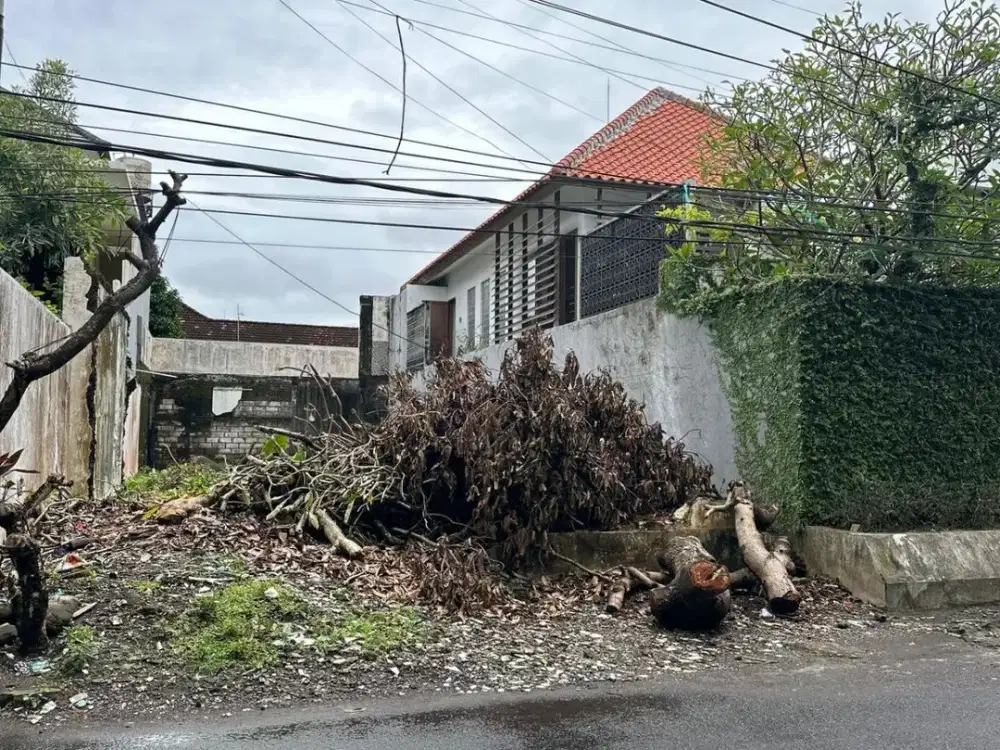 DIJUAL TANAH PREMIUM – KAWASAN ELITE CIUNG WANARA, DENPASAR