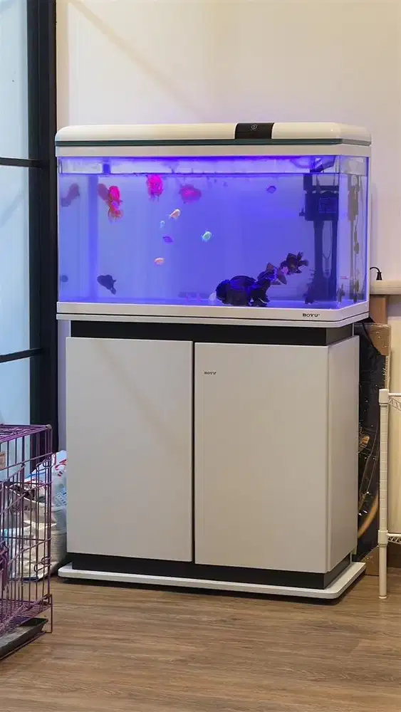 Aquarium BOYU 80x51x36 SUPER PREMIUM