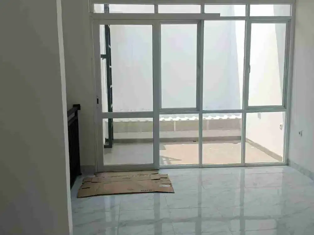 Brand New Kelapa Hibrida Kelapa Gading