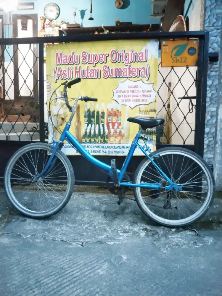 Jual murah sepeda mini wimcycle 24