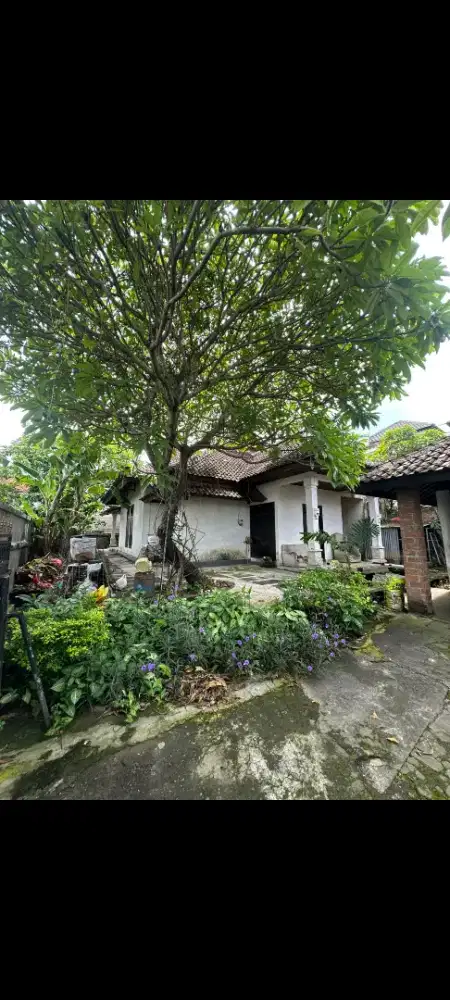 Dijual tanah kavling 1,12 are di panjer dekat renon