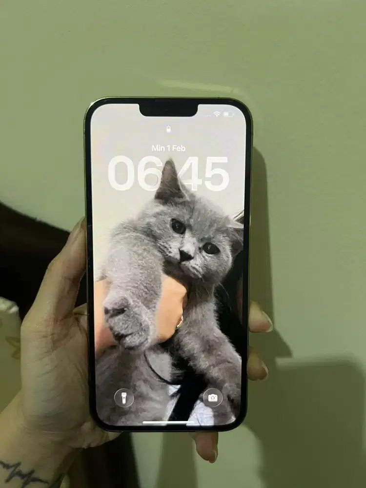 Iphone 13 ProMax 256GB iBox