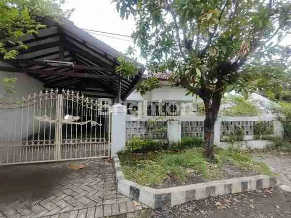 Rumah Usaha Baruk Utara Selangkah Raya Merr, Dekat Superindo, Starbucks, Pizza Hut, STIKOM / Dinamika, UPN, Akses Tol, Rungkut, Nginden