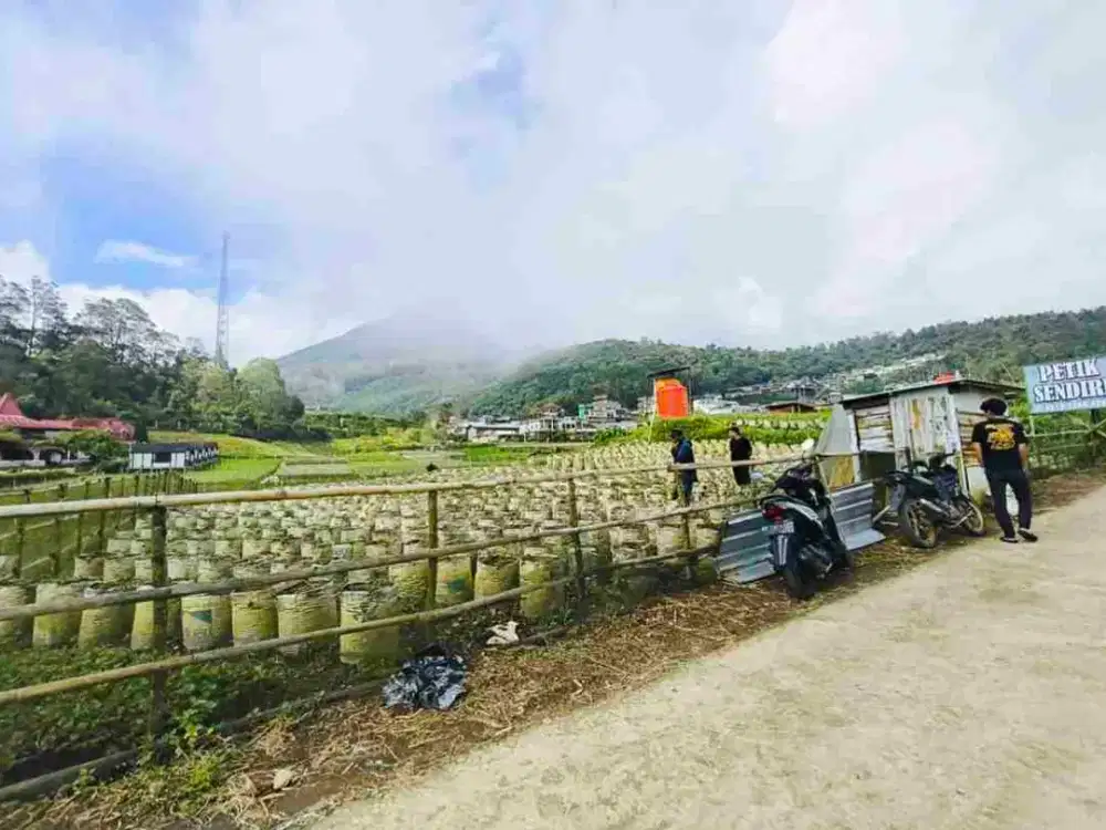 Tanah Tawangmangu 646Mt, Ld 15Mt, dkt bukit Mongkrang Gondosuli