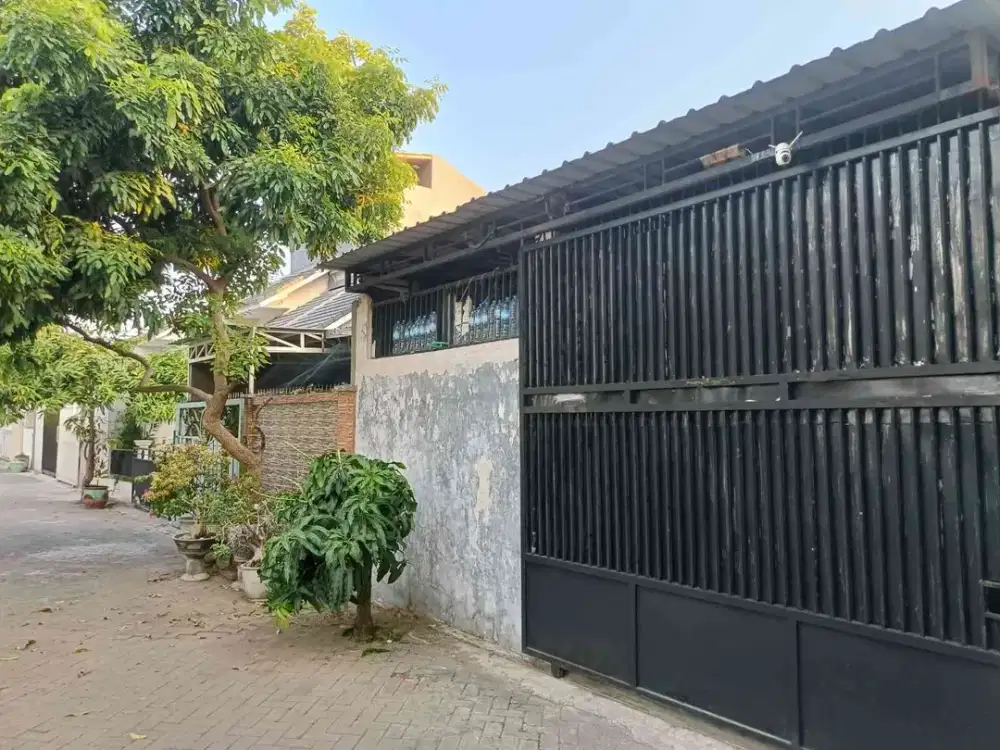 Rumah Minimalis Golden Berry Gresik