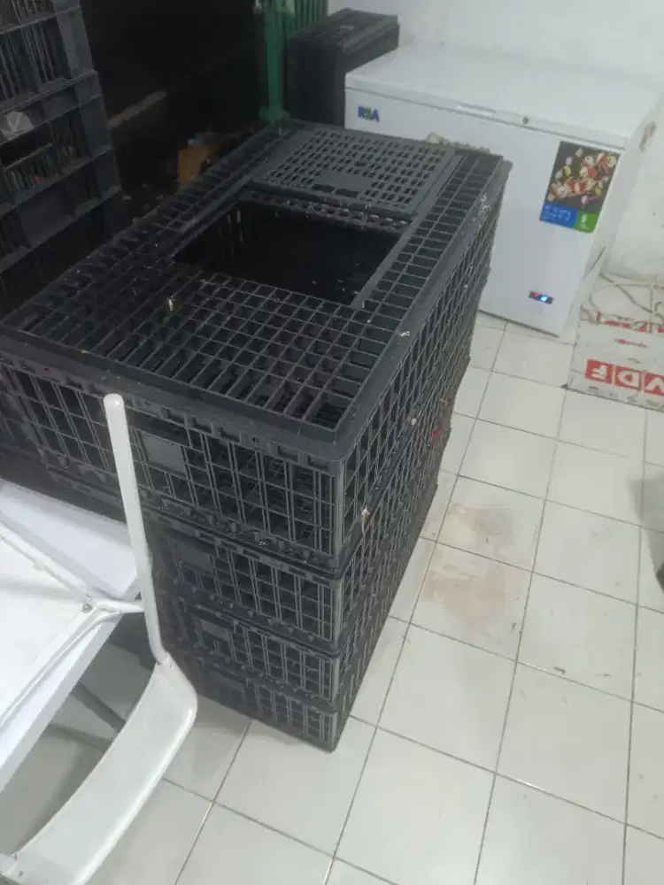KERANDANG KANDANG AYAM POTONG