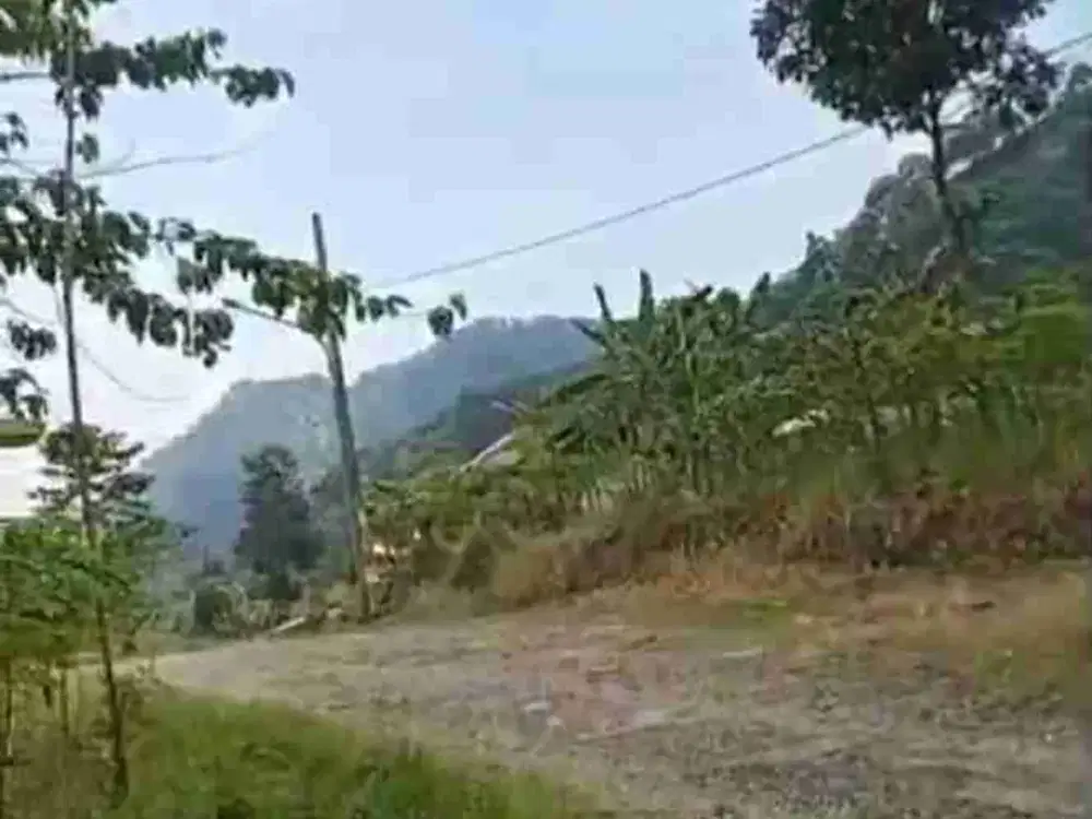 tanah murah bojong koneng