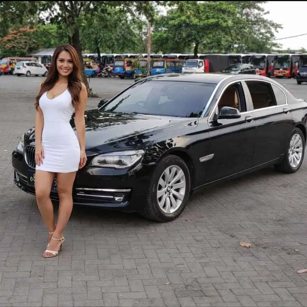 BMW 730Li - 2013 pmk 2015 - DK