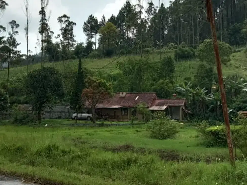 Tanah Matang Di mekarwangi Ciwidey dekat mesjid agung dan alun alun