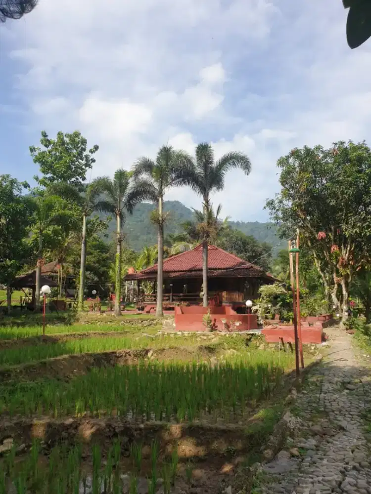 DIJUAL TANAH SHM LUAS 3900M² – KARAWANG SELATAN