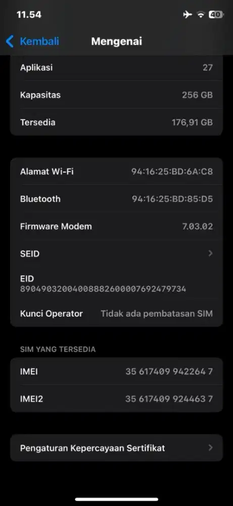 iPhone XS 256GB All operator