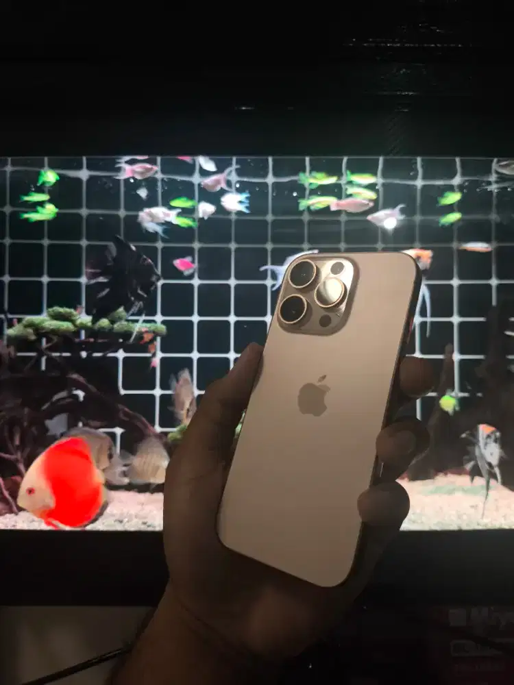 iPhone 16 Pro 128gb iBox