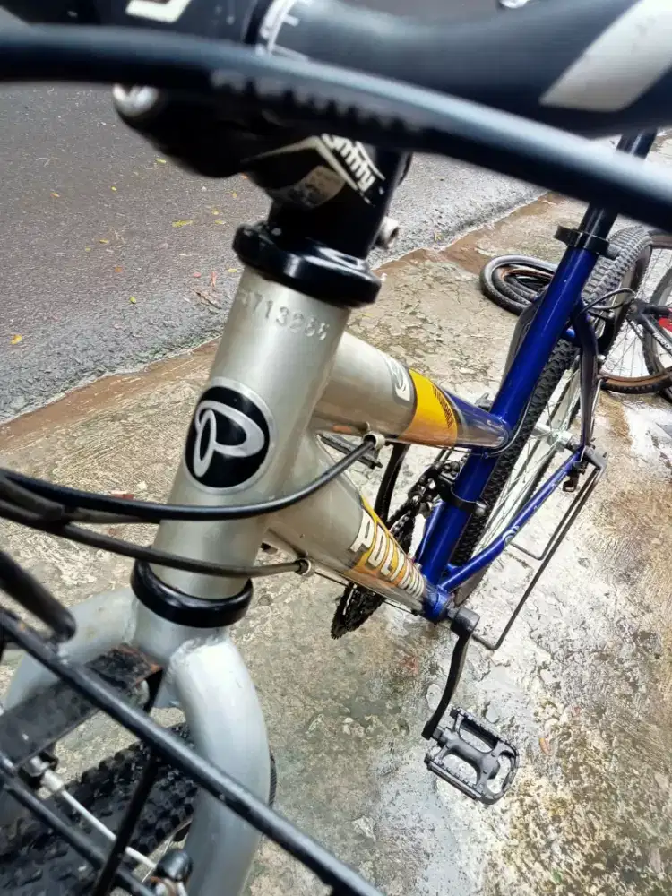 Sepeda 26 POLYGON lady commuter bike