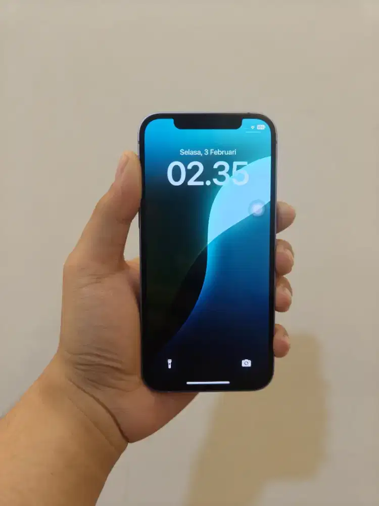 iPhone 12 64GB Purple Ex Resmi iBox Murah