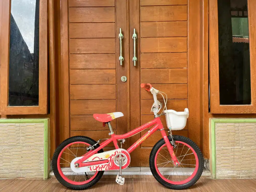 Sepeda anak polygon alice 16