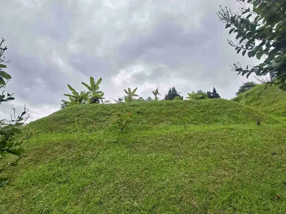 Kavling murah Disetia Budi Regency dekat sekolah Starland Preschool & kindergarten