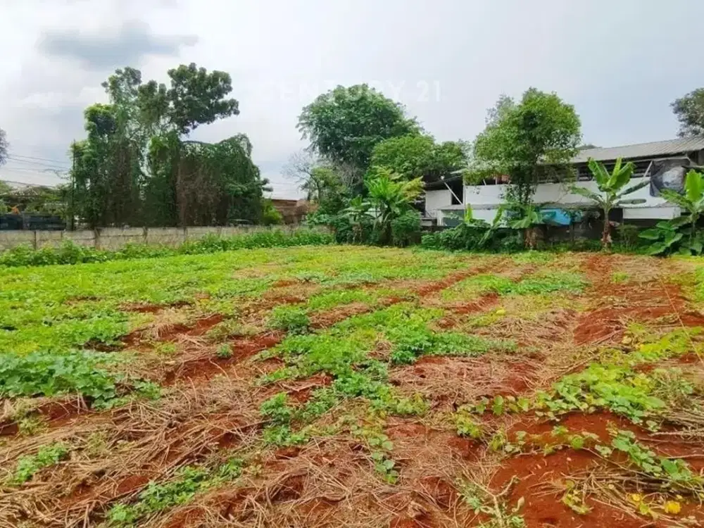 Dijual Kavling Cinere 3845m Jalan Utama Harga Dibawah Pasar