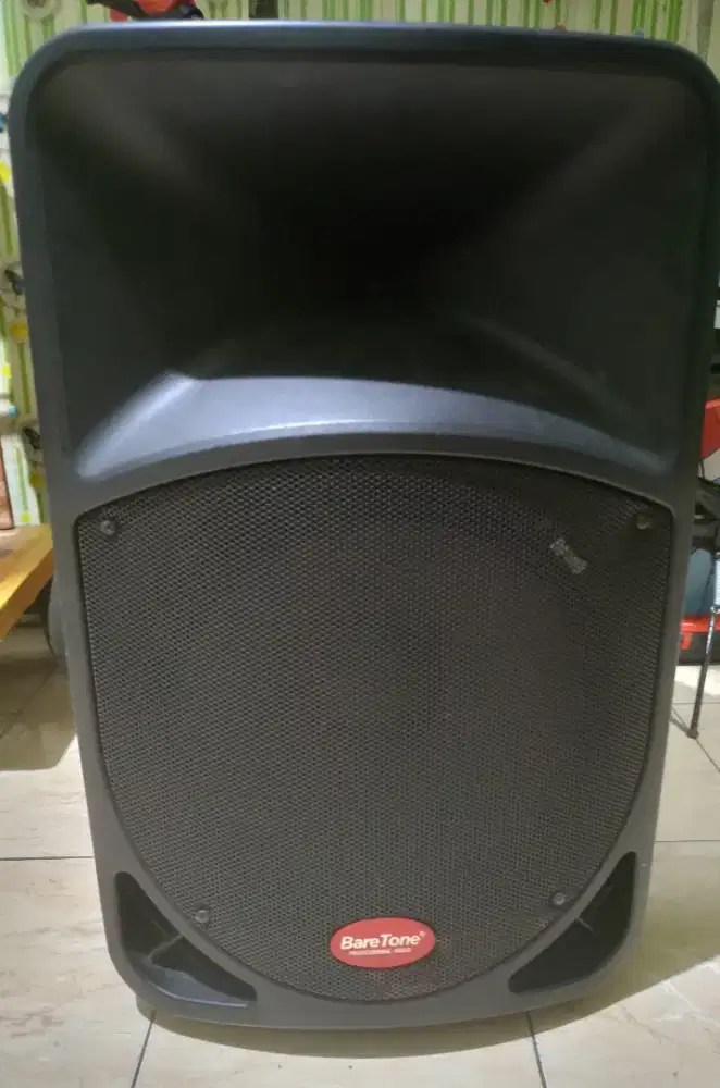 Speaker bareton 15 inc + 2 mic