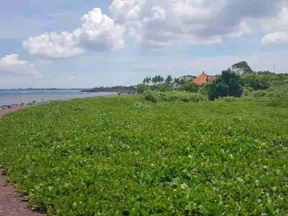 dijual tanah 1975 m² IDR 650 juta per are los pantai pabean Gianyar  Bali