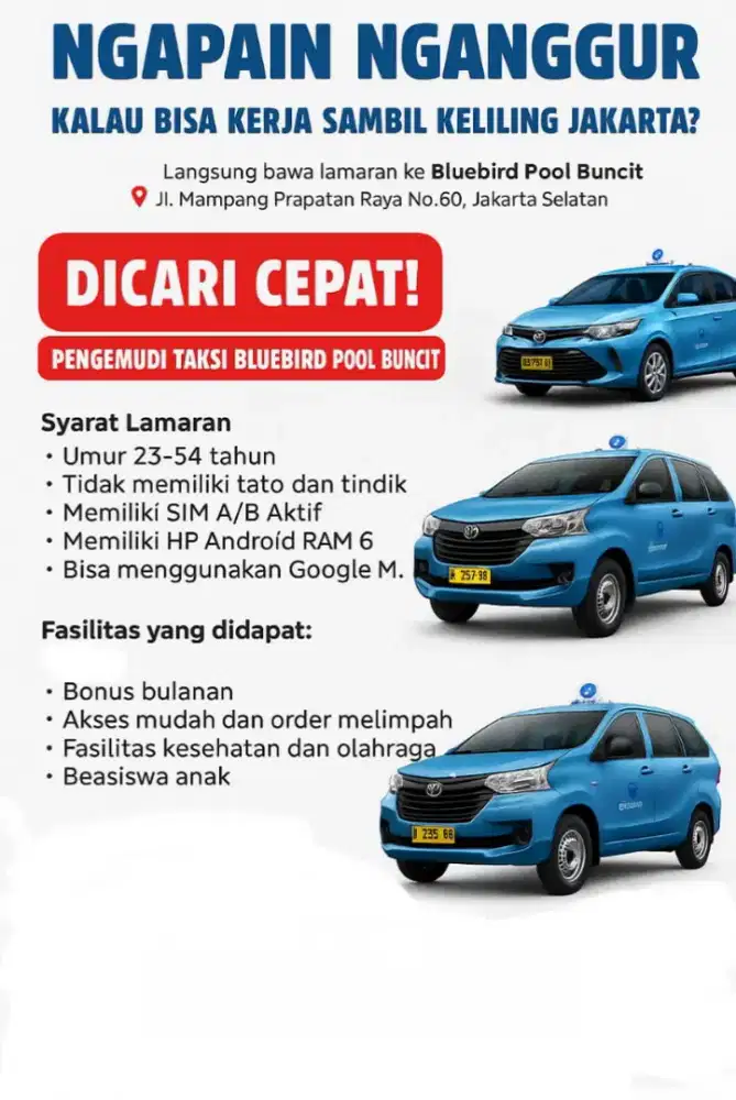 Dicari pengemudi Bluebird pool buncit