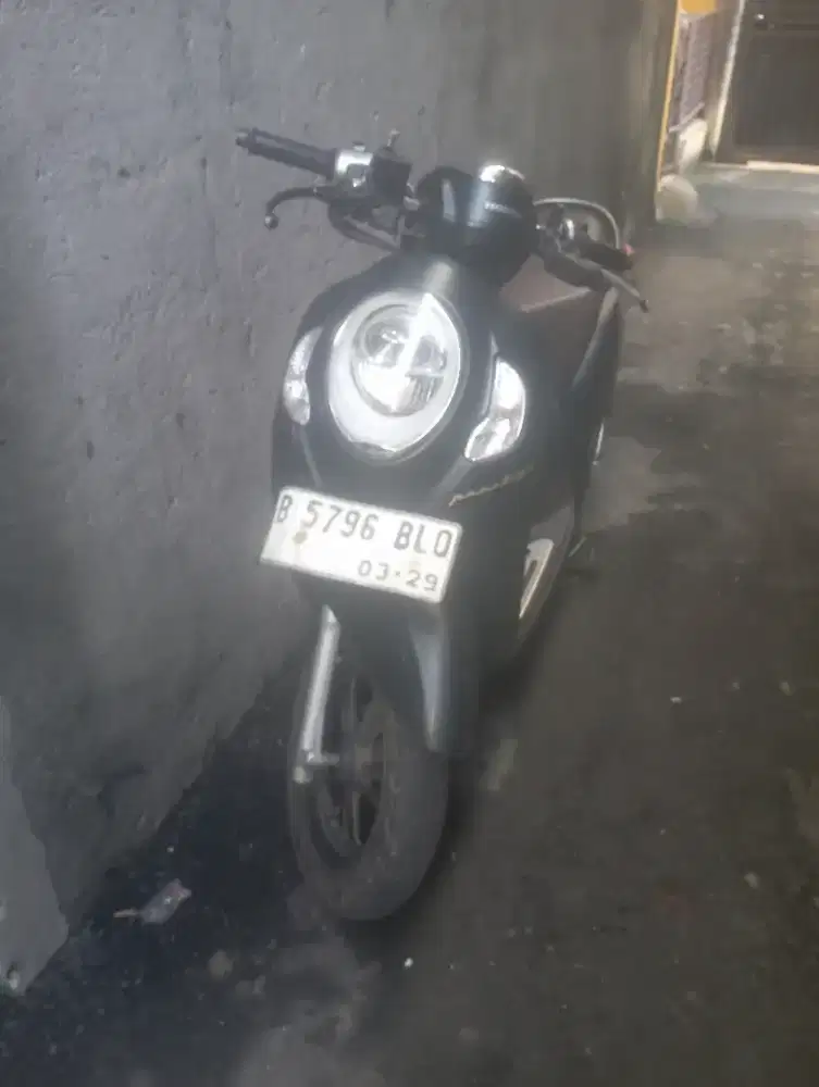 Scoopy Prestige 2024
