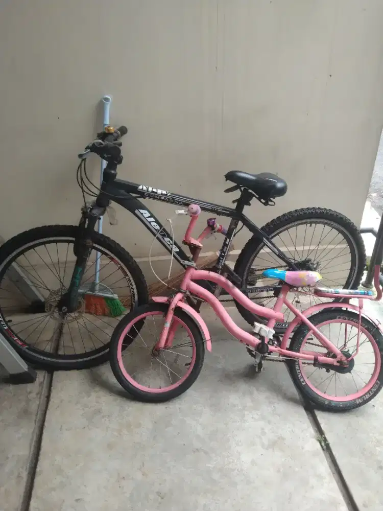 Dijual sepeda 3 unit(sistem borongan)