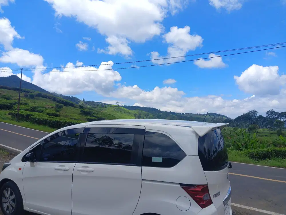 Honda Freed 2009 Bensin