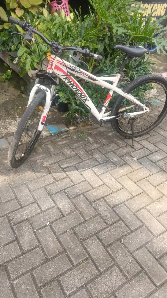 BU Dijual sepeda Phoenix bekas  warna putih