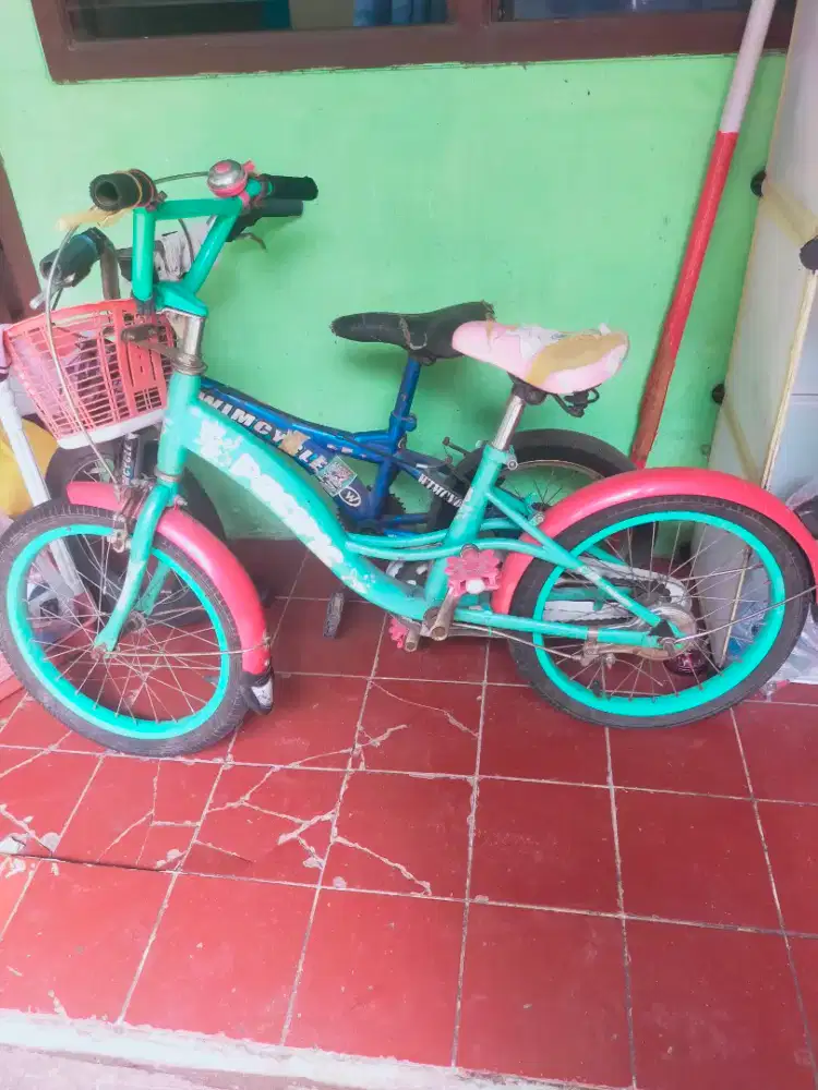 Dijual 2 sepeda anak laki2 dn cewek