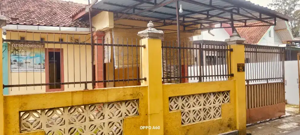 Rumah disewakan per tahun