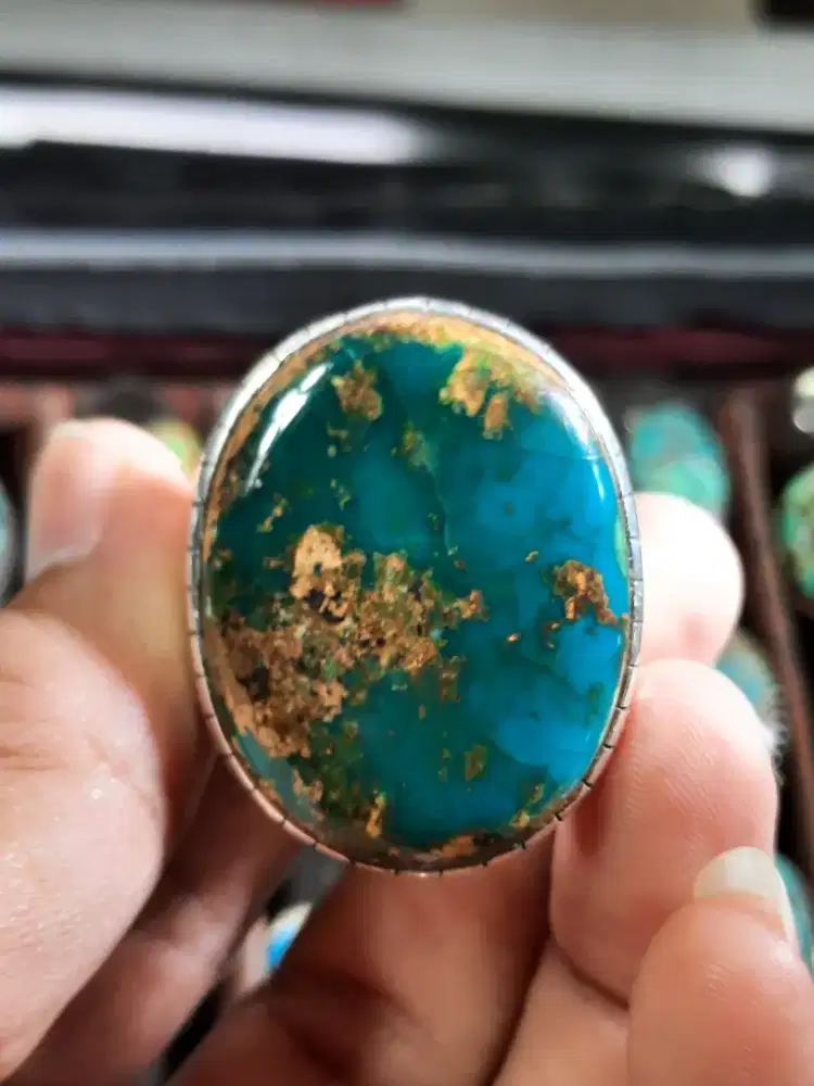 Pirus Biru Tosca Persia